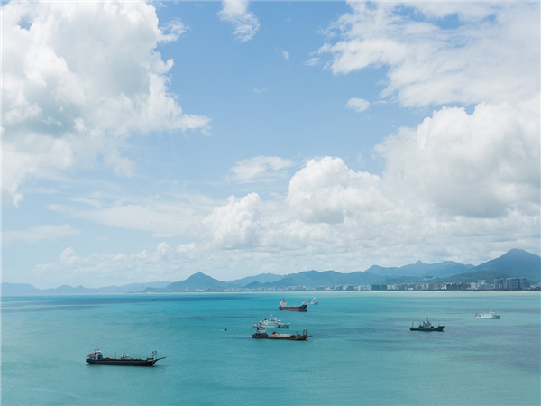航運物流領域