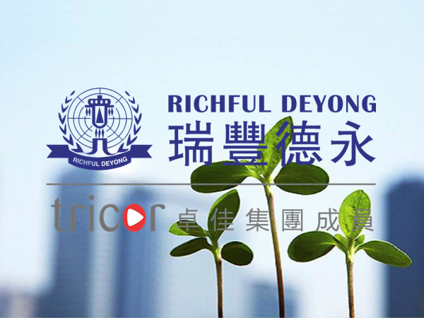 新加坡公司審計豁免措施
