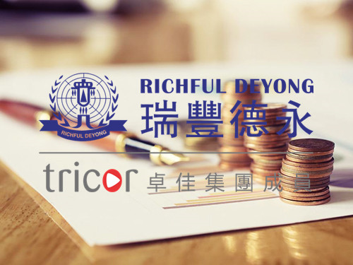 注冊德國公司的類型