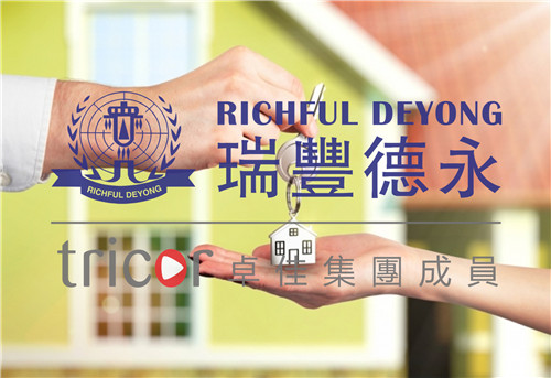 新加坡私人有限公司的優勢