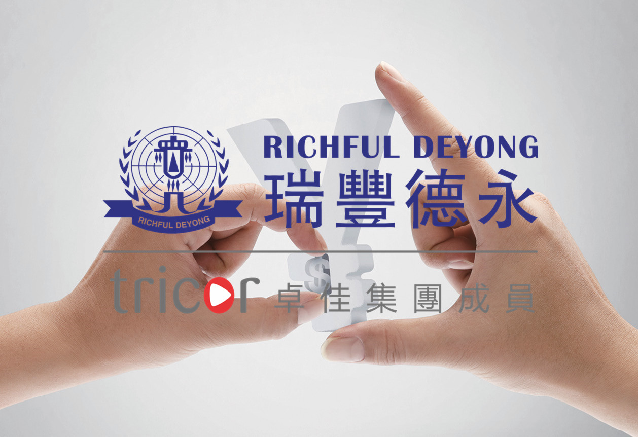 德國公司年審